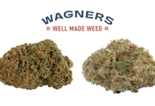 הזנים החדשים של Wagners בישראל: ישנו את כללי המשחק?