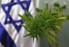 אושרה אי הפללה בישראל: העונש על שימוש בקנאביס – 500 ש"ח