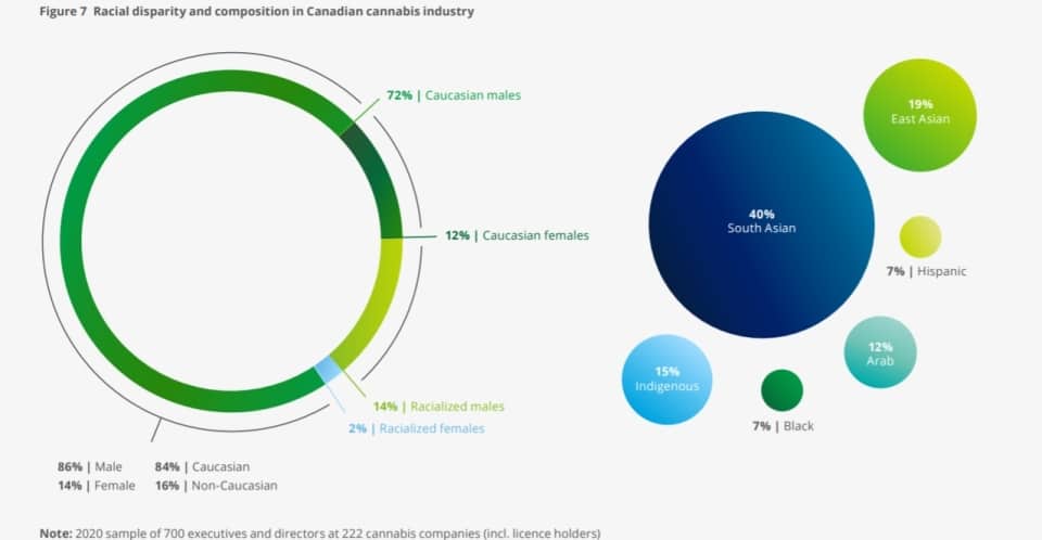 אחוז נמוך של לא-לבנים בתעשיית הקנאביס הקנדית