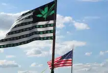 דגל קנאביס דגל ארצות הברית