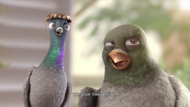 הציפורים מהפרסומת הידועה של "ביטוח ישיר"