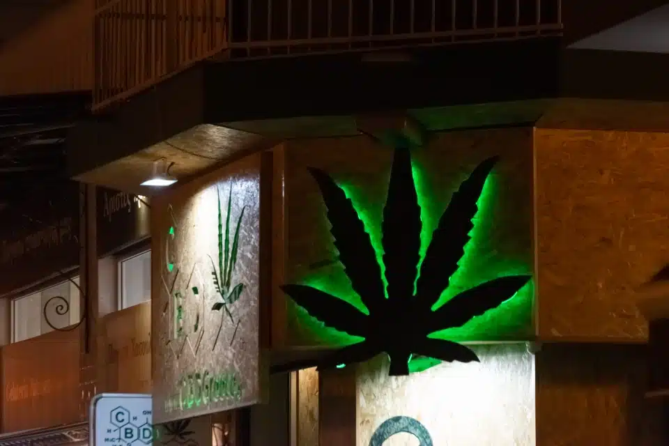 Kavala, יוון - 10 במאי 2019: חנות קנאביס חוקית CBDGreece פתוחה במהלך הלילה. לגליזציה של מוצרי קנאביס פרמצבטיים.