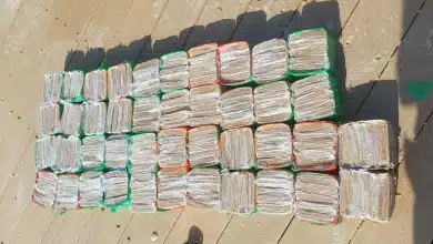 בתוך אבובים: עשרות ק"ג של חשיש נפלטו מהים אל חופים ברחבי הארץ