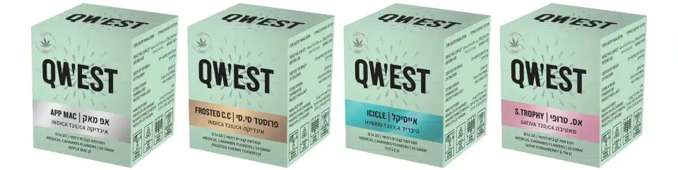4 זני קנאביס חדשים של חברת DECIBEL הקנדית מהמותג QWEST - מעכשיו בישראל