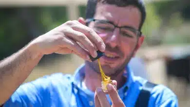 חודשיים מאסר בפועל נגזרו על פעיל הקנאביס ניר יופטרו