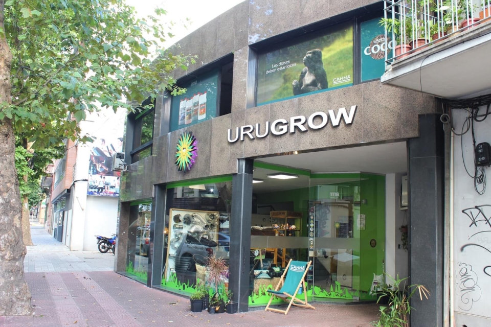 חנות בית מרקחת קנאביס בעיר מונטווידאו, אורוגוואי