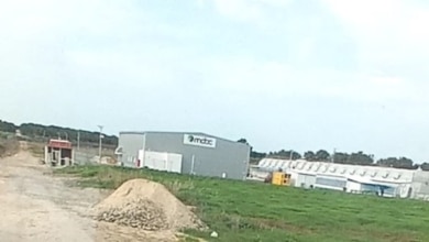 דרושים מתנדבים לקטיף קנאביס בחווה של "צייד המחבלים" מהקיבוץ בעוטף עזה